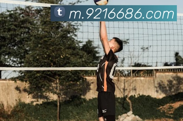 6686APP 封面图